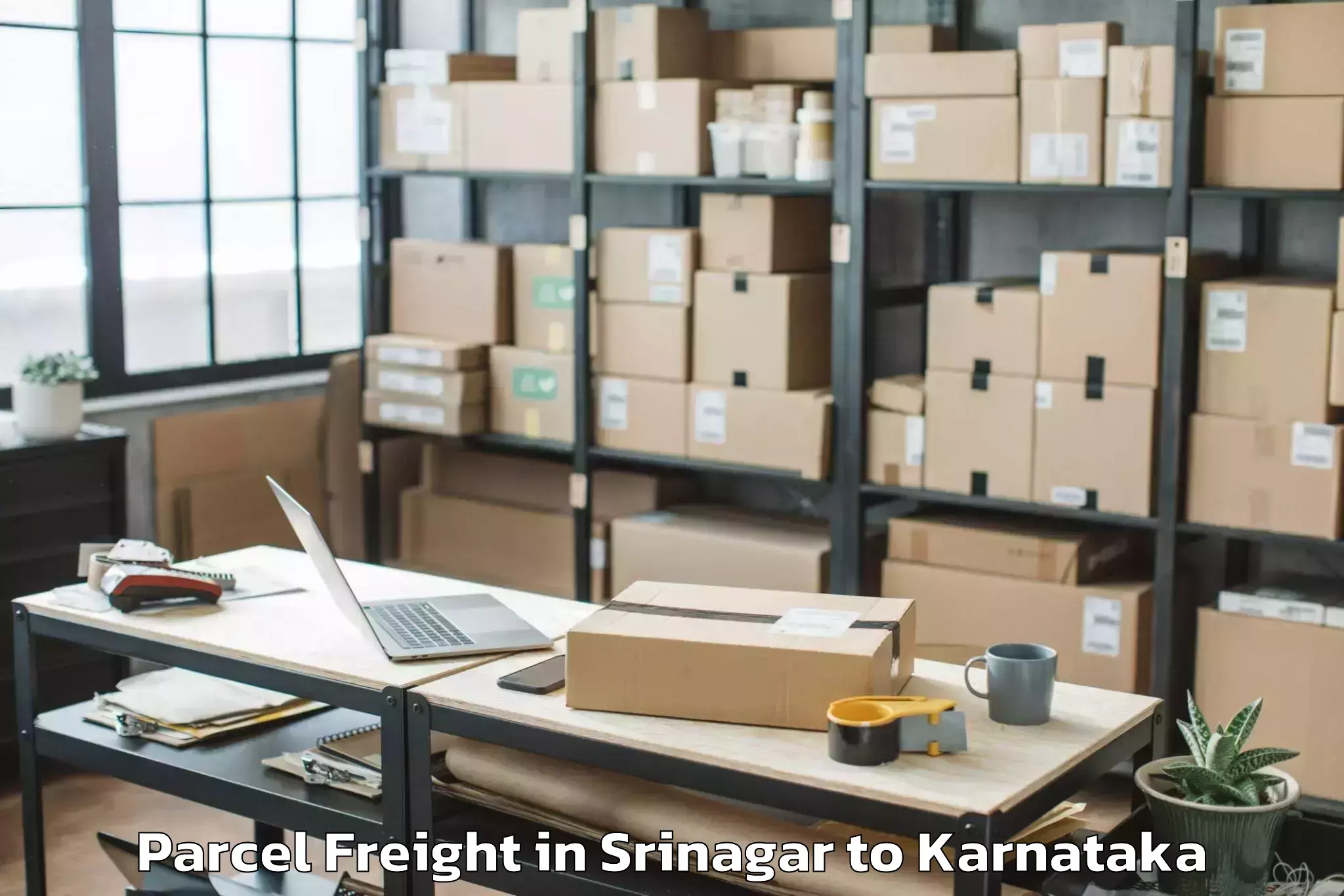 Leading Srinagar to Holesirigere Parcel Freight Provider